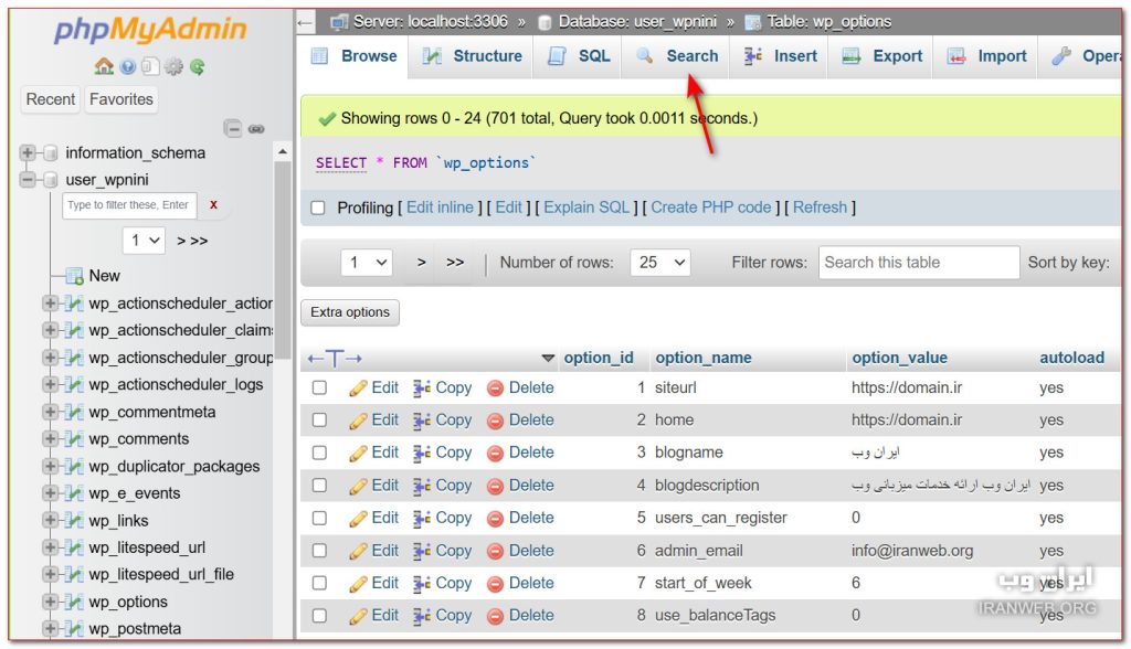 جستجو در جدول wp options